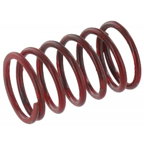 Valve spring