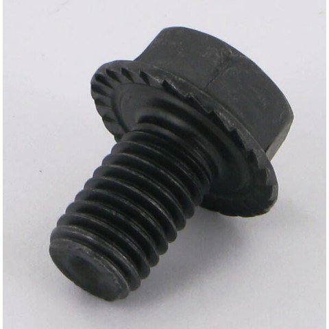 Bolt Bolt