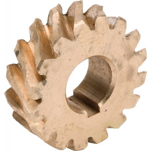 Worm gear