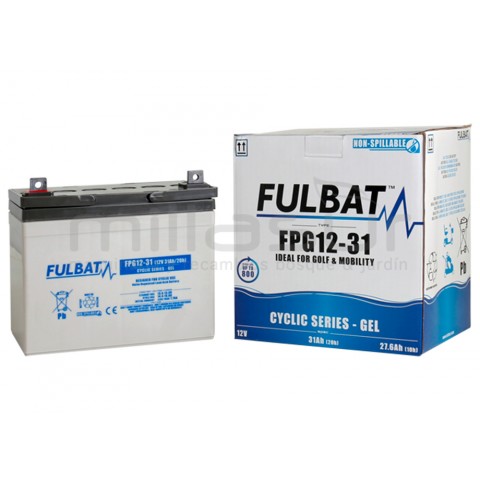 Bateria ciclica gel fpg12-31 12v 31 ah.( 195 x 130 x 178 )