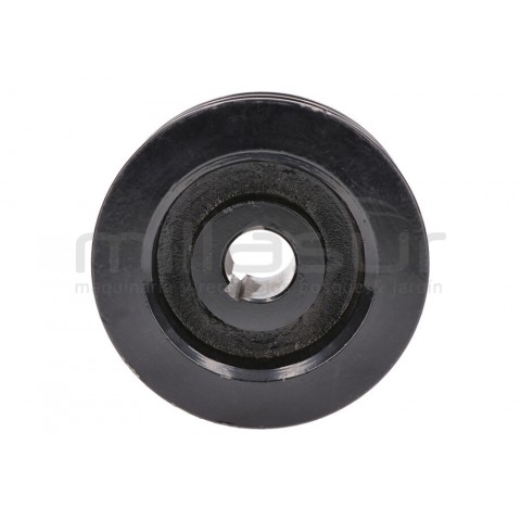 Polia tambor triturador bio150vr (30)