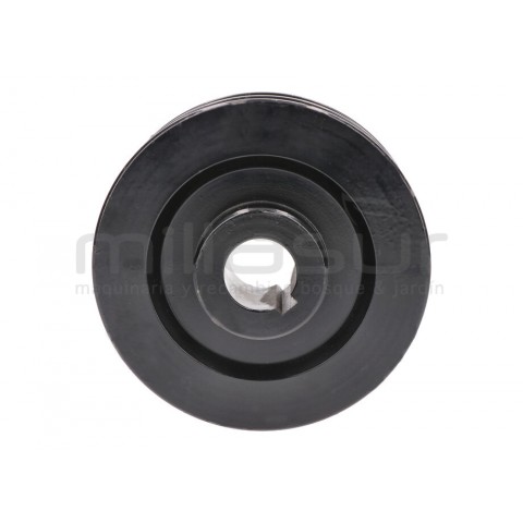 Polia tambor triturador bio150vr (30)