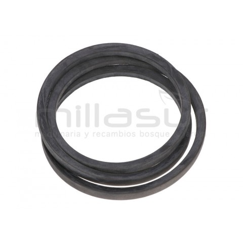 Correia bio150vr (8)