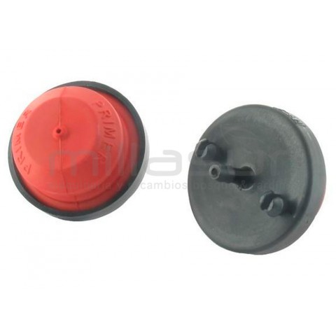 Primer cc1, cc2, cc3 (clipe)