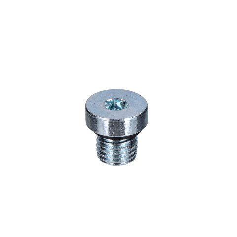 TORNILLO ENGRASE M8X8 E60HT (54)
