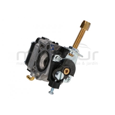 Carburador-vale pg2c-sg1c