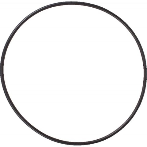 Junta tórica (o-ring) de travão