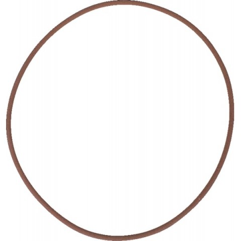 Junta tórica (o-ring) de travão
