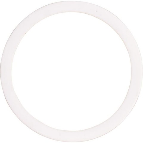Anel PTFE